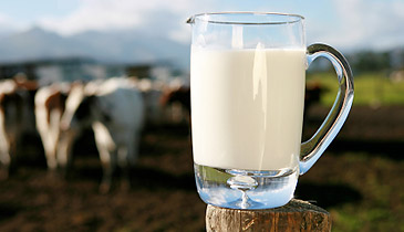 Canadian Quality Milk (CQM)
